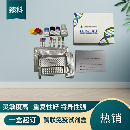 大鼠白三烯D4(LTD4）ELISA试剂盒