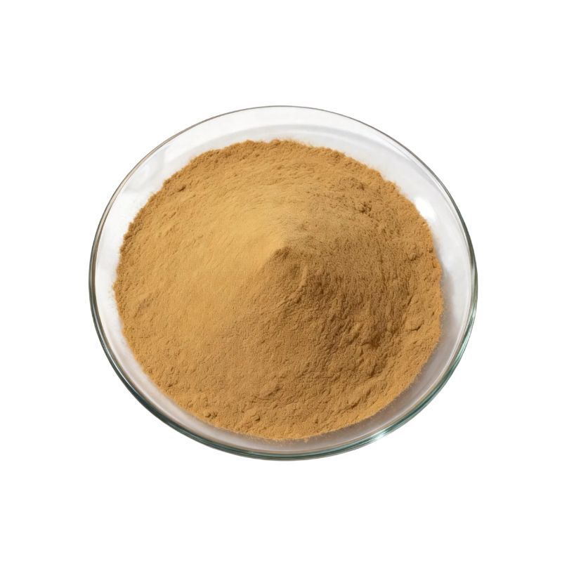 龙胆提取物减轻肝损伤促进消化抗炎与抗菌