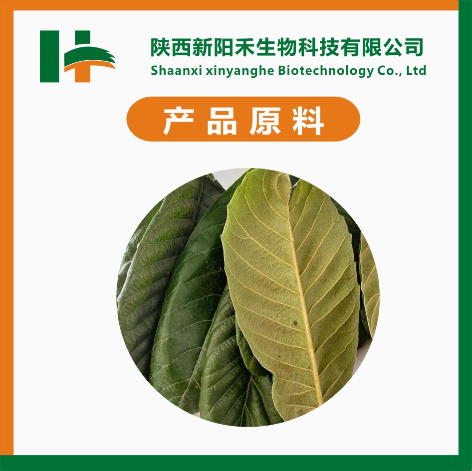 山楂酸10%枇杷叶提取物