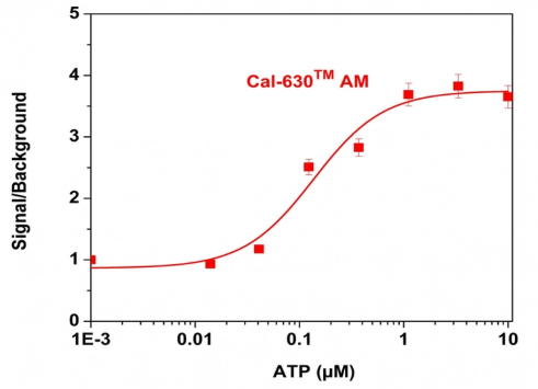 Cal-630 AM，Cell Permeant 钙离子荧光探针