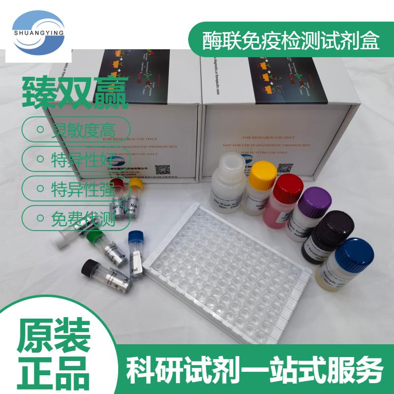 小鼠B-淋巴细胞趋化因子1(BLC-1;CXCL13)ELISA试剂盒