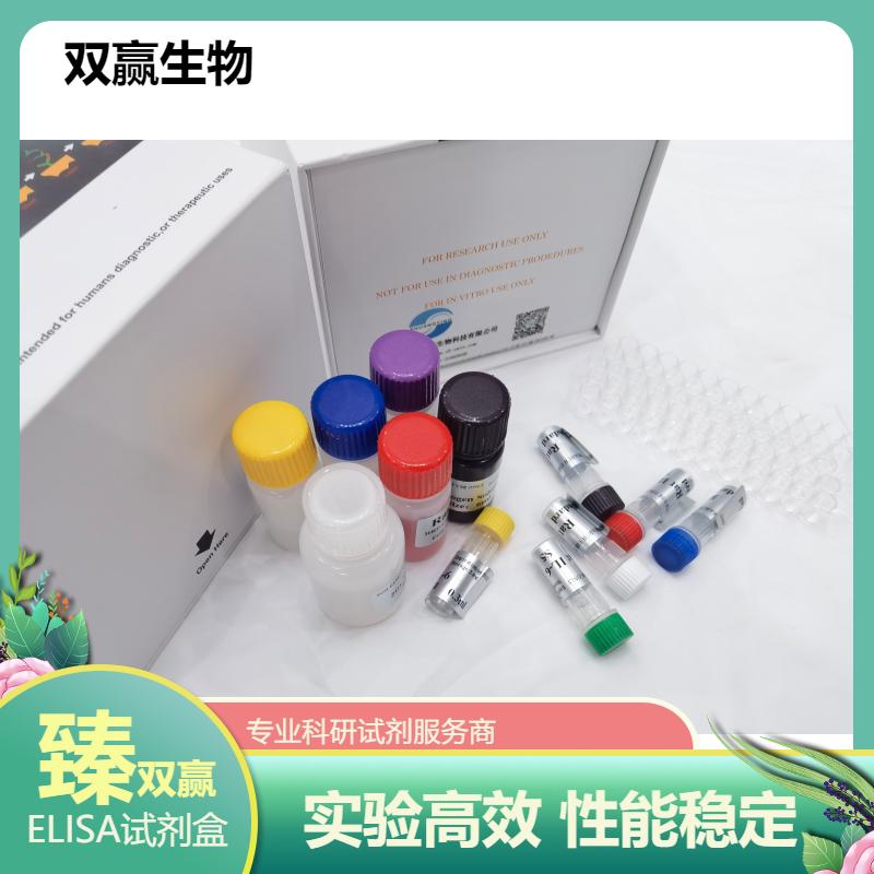 小鼠CX3C趋化因子;fractalkine(FKN;CX3CL1)ELISA试剂盒