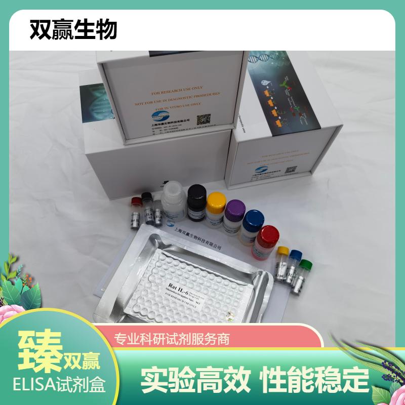 小鼠间隙连接蛋白43(CX43)ELISA试剂盒