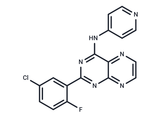 化合物 SD-208|T2109|TargetMol