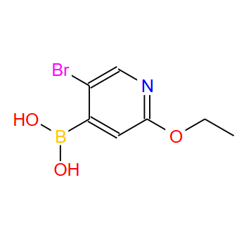 612845-46-2；5-溴-2-乙氧基砒啶-4-硼酸；5-BROMO-2-ETHOXY-4-PYRIDINEBORONIC ACID