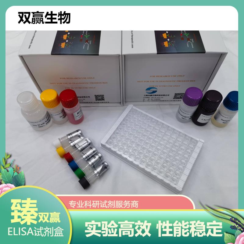 小鼠凝血因子Ⅷ相关抗原(FⅧAg)ELISA试剂盒