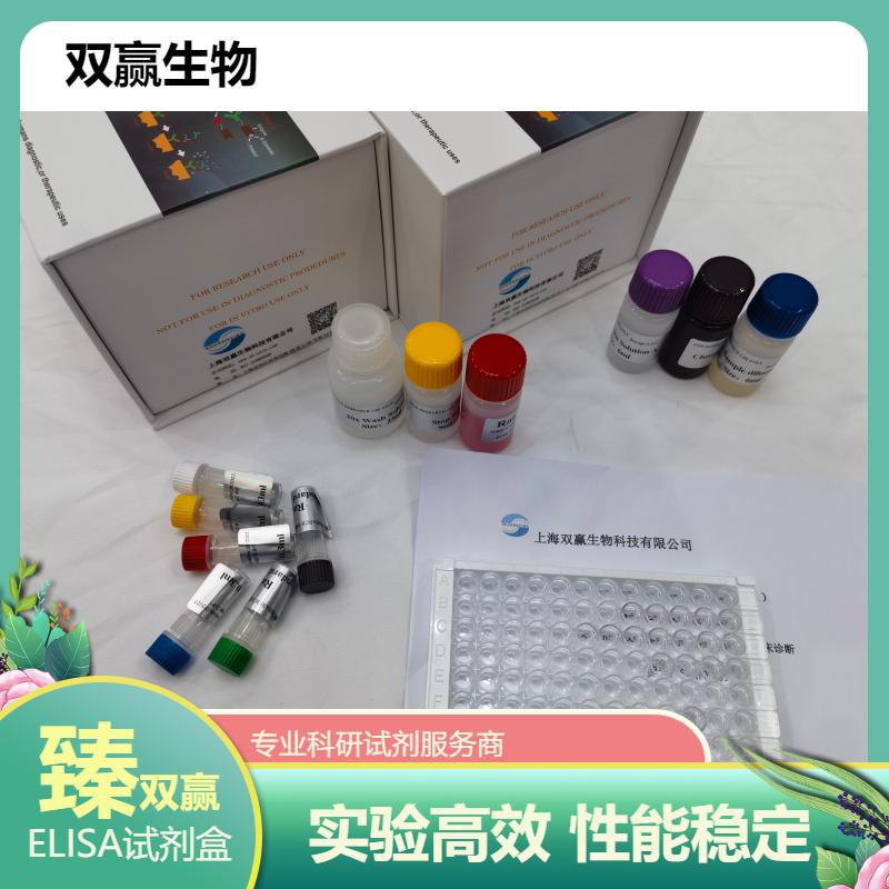 小鼠重链IgG1(IgG1H)ELISA试剂盒
