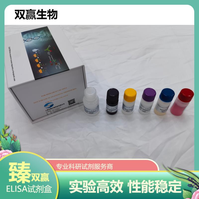 小鼠重链IgG2a(IgG2aH)ELISA试剂盒