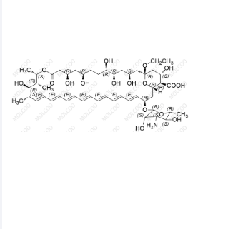 两性霉素B EP杂质C