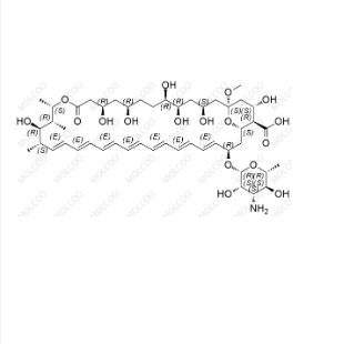 两性霉素B杂质D