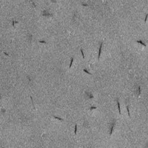 Ti2NbAlC2，钛铌碳化铝粉