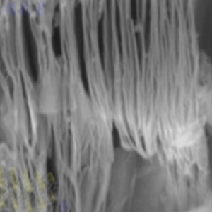 V4AlC3，钒碳化铝