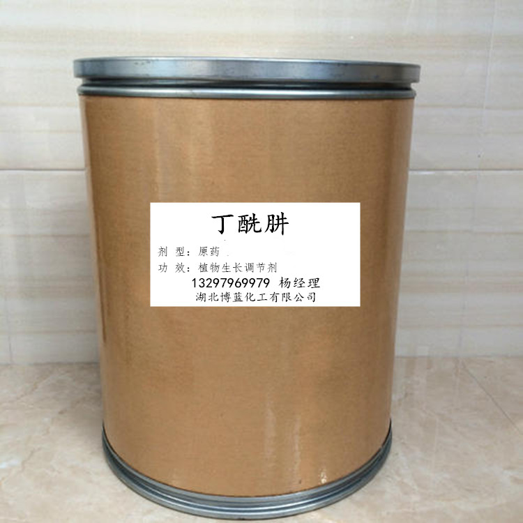 99%丁酰肼原药  比久  菊花植物生长调节剂