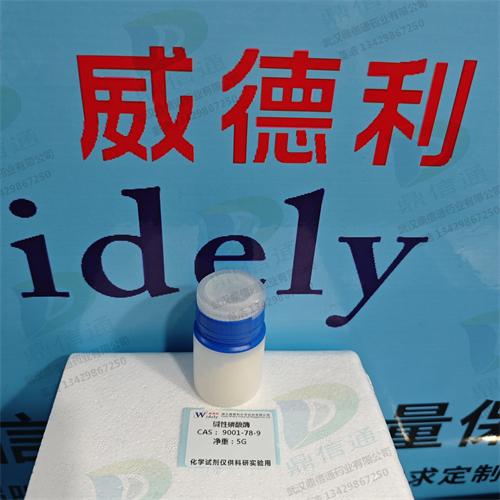 碱性磷酸酶；碱性磷酸酶