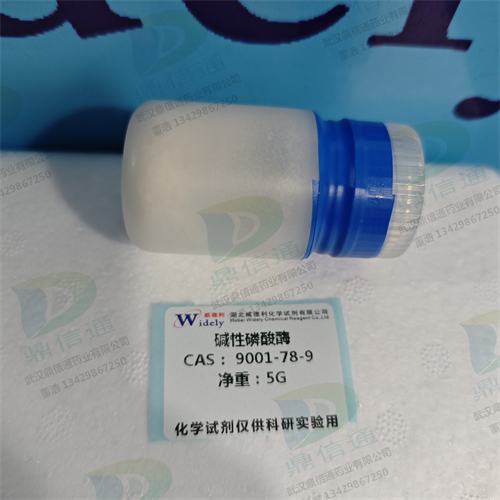 碱性磷酸酶；碱性磷酸酶