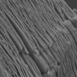 Ti2CTx风琴状，Ti2CTx (MXene) Multilayer nanoflake