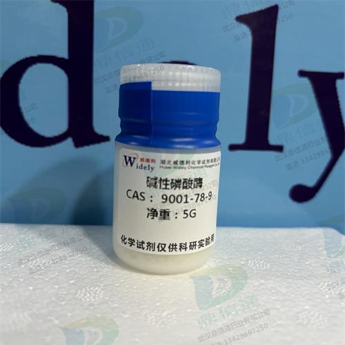 碱性磷酸酶 (3).jpg 碱性磷酸酶 (3).jpg