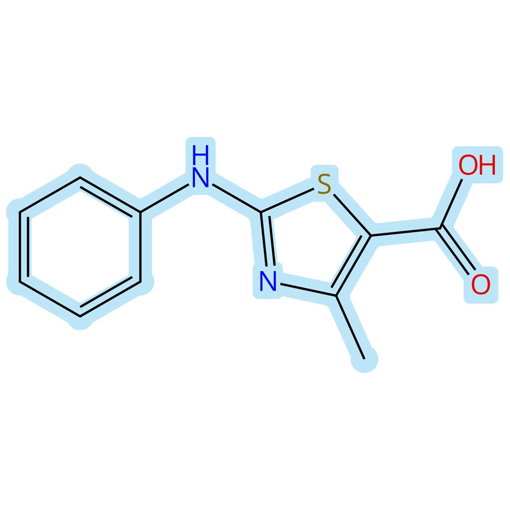 4-甲基-2-(苯基氨基)噻唑-5-羧酸