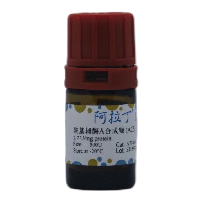 aladdin 阿拉丁 A774049 酰基辅酶A合成酶 (ACS) 9013-18-7 生物活性, ActiBioPure?, 高性能, EnzymoPure?, ≥85%(SDS-PAGE), ≥5 U/mg protein