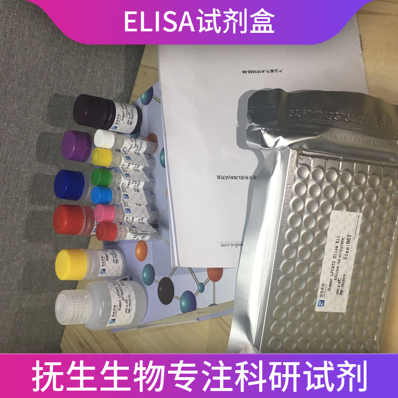 大鼠巨噬细胞移动抑制因子(MIF)ELISA试剂盒