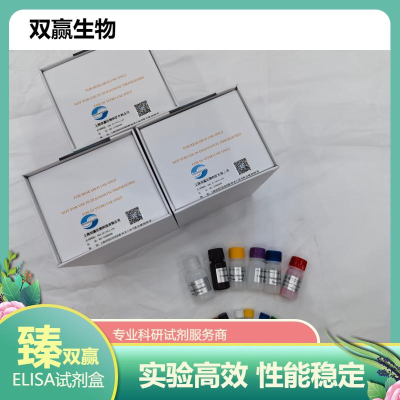 小鼠β淀粉样蛋白3-10(Aβ3-10)ELISA试剂盒