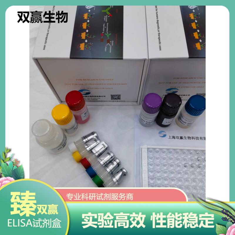 小鼠β2肾上腺素受体抗体(β2-AR)ELISA试剂盒