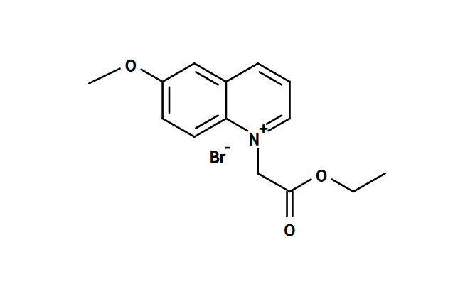氯离子荧光探针，MQAE，162558-52-3