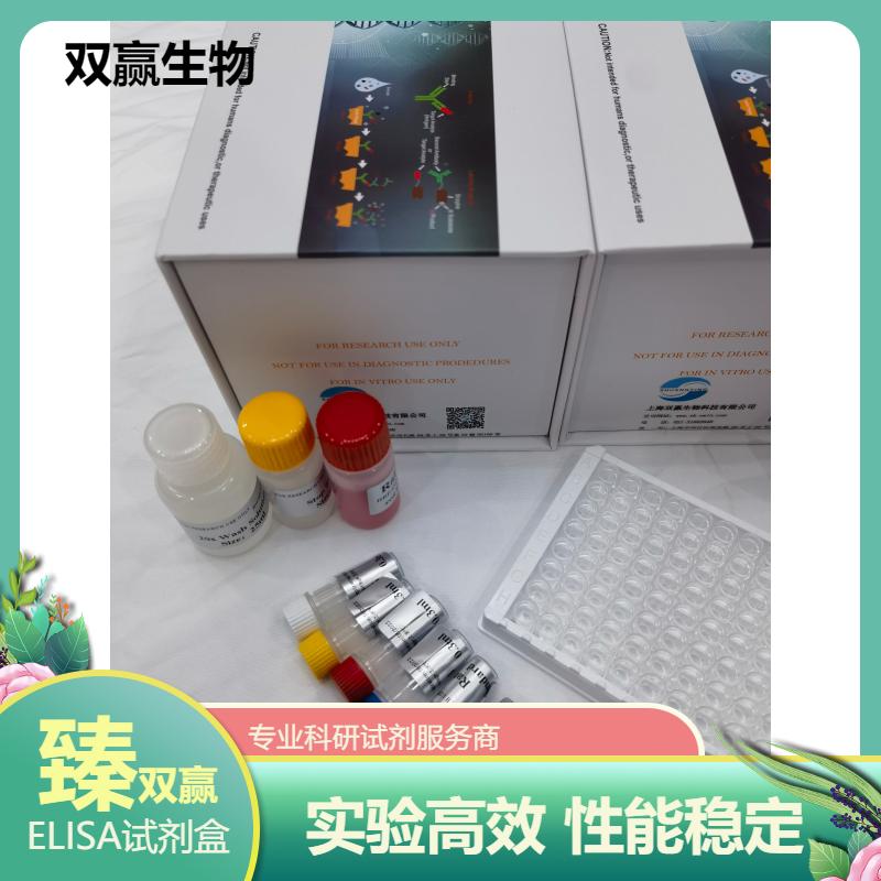 猪半乳凝素1(GAL1)ELISA试剂盒