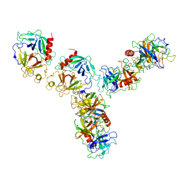 重组小鼠GZMA蛋白