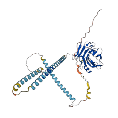 重组小鼠神经元五聚蛋白II（NPTX2）