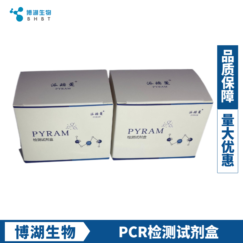 边缘无浆体(无形体)染料法荧光定量PCR试剂盒