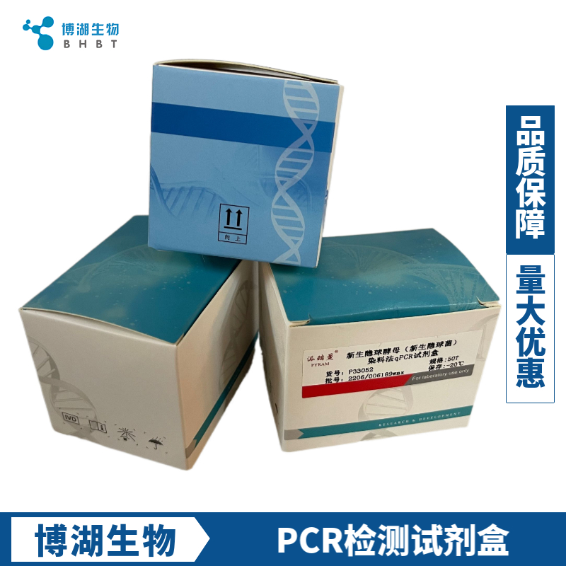 乳双歧杆菌HN019探针法荧光定量PCR试剂盒