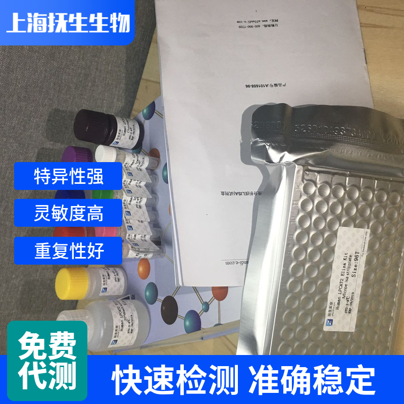 大鼠基质金属蛋白酶1(MMP-1)ELISA试剂盒