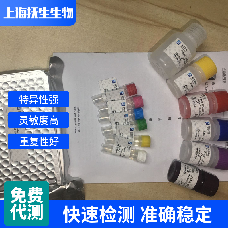 大鼠肌酸激酶同工酶MB(CKMB)ELISA试剂盒