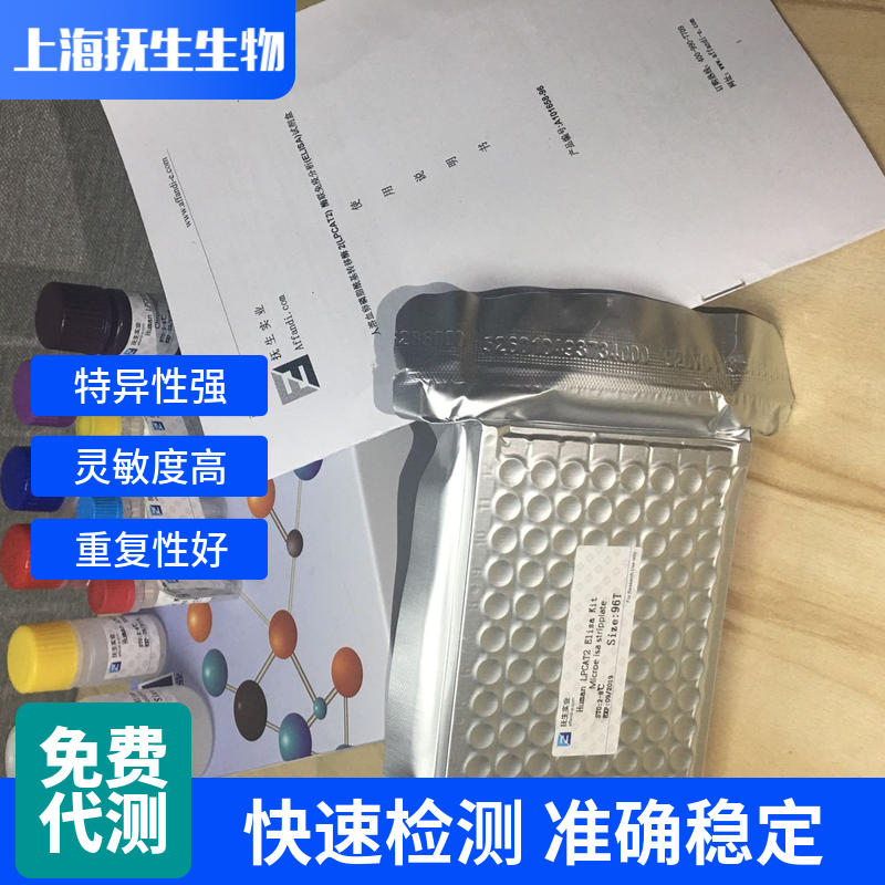 大鼠2',3'-环核苷酸3'-磷酸二酯酶(CNP)ELISA试剂盒