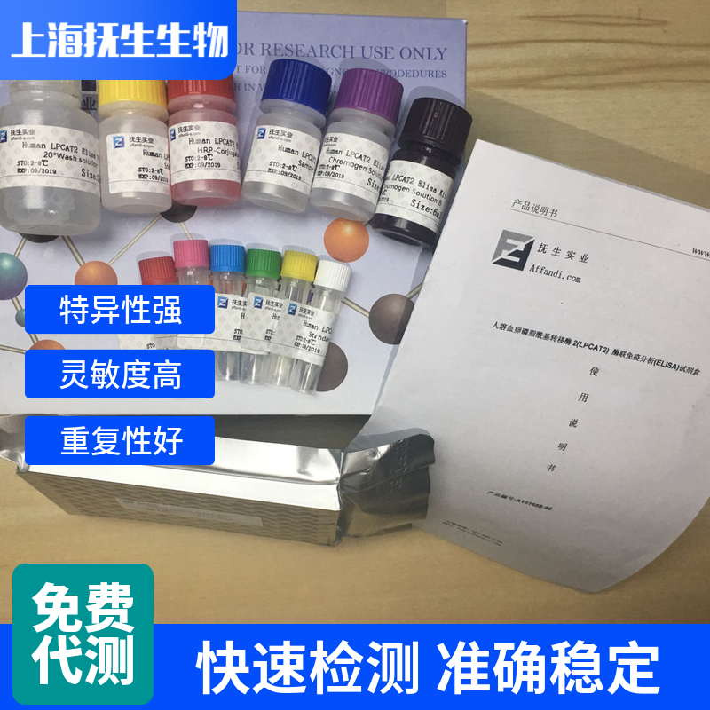 大鼠Bcl2关联X蛋白(Bax)ELISA试剂盒