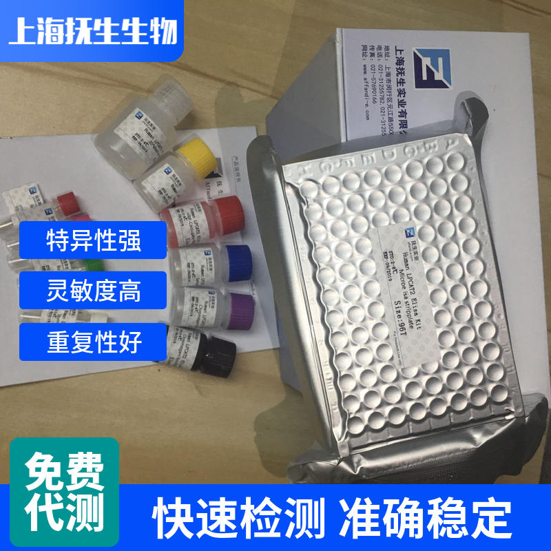 大鼠白介素10(IL-10)ELISA试剂盒