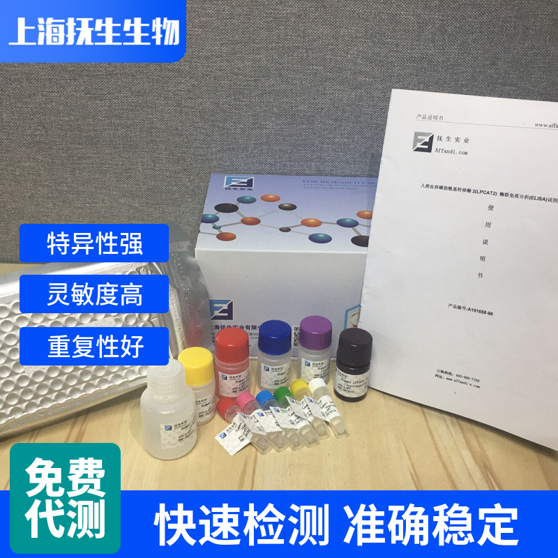 大鼠白介素11(IL-11)ELISA试剂盒