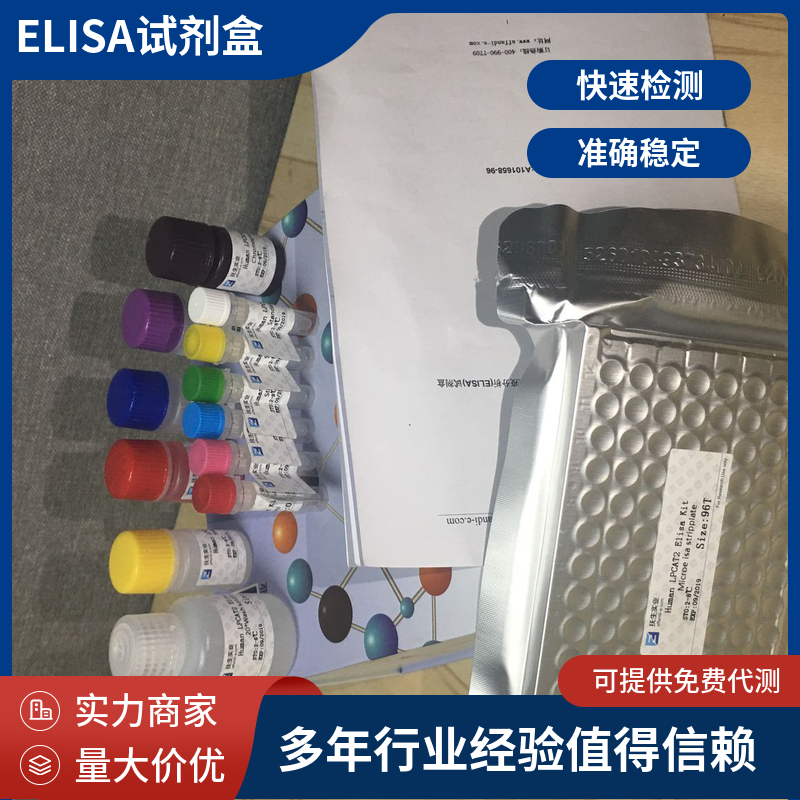 大鼠穿孔蛋白1(PRF1)ELISA试剂盒