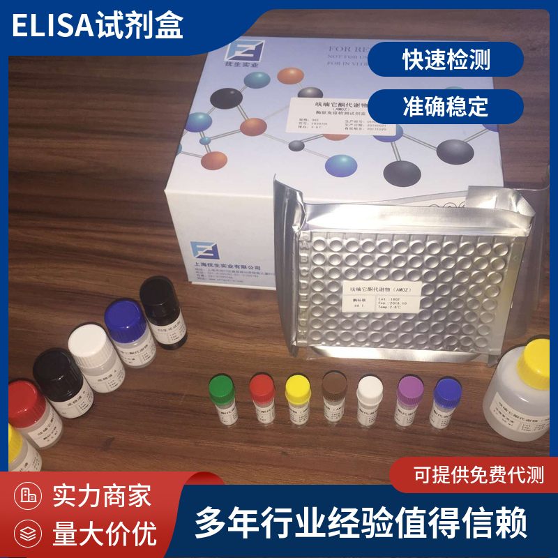 人狂犬病病毒抗体(RVAb)ELISA试剂盒