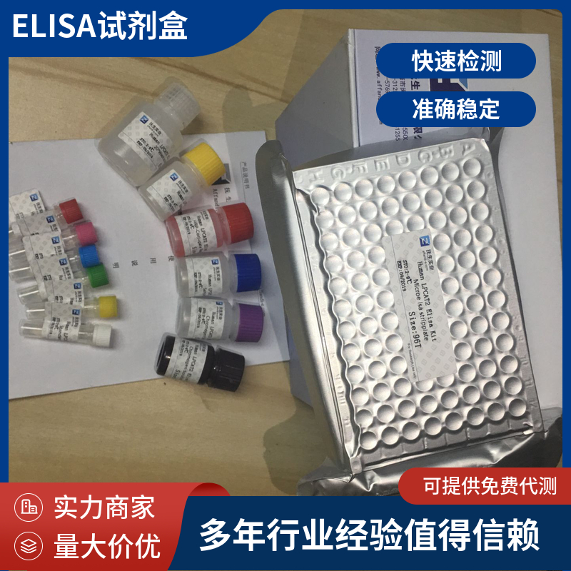 人粒细胞巨噬细胞集落刺激因子(GM-CSF)ELISA试剂盒