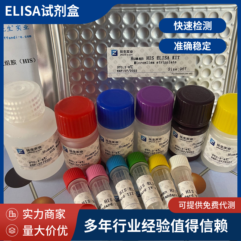 兔白介素4(IL-4)ELISA试剂盒
