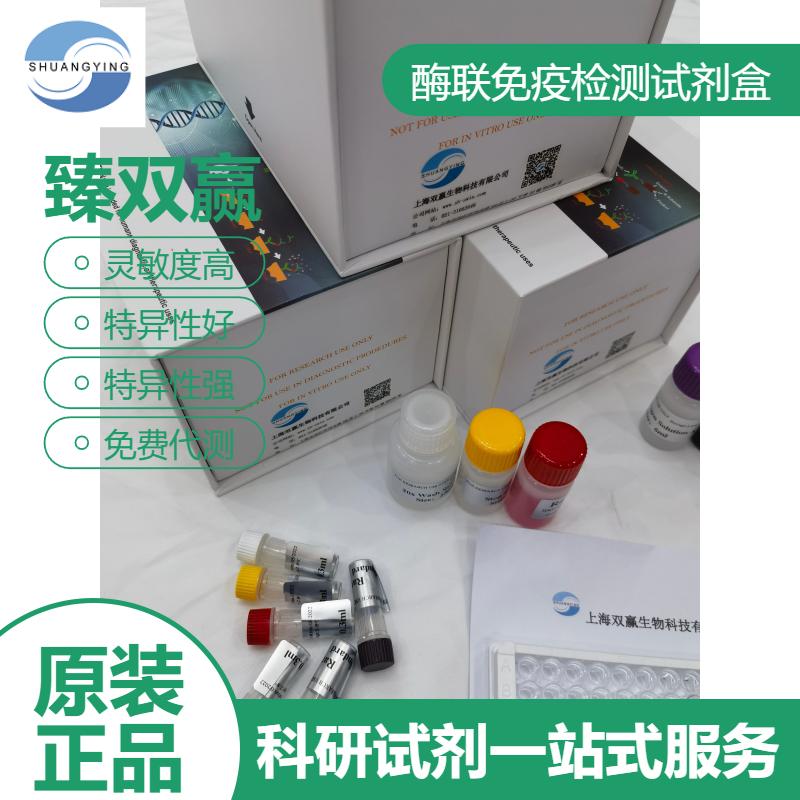 猪半乳凝素4(GAL4)ELISA试剂盒