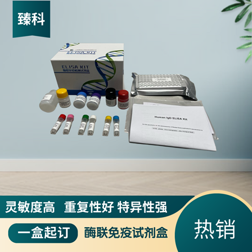 小鼠解偶联蛋白1(UCP1）ELISA测定试剂盒