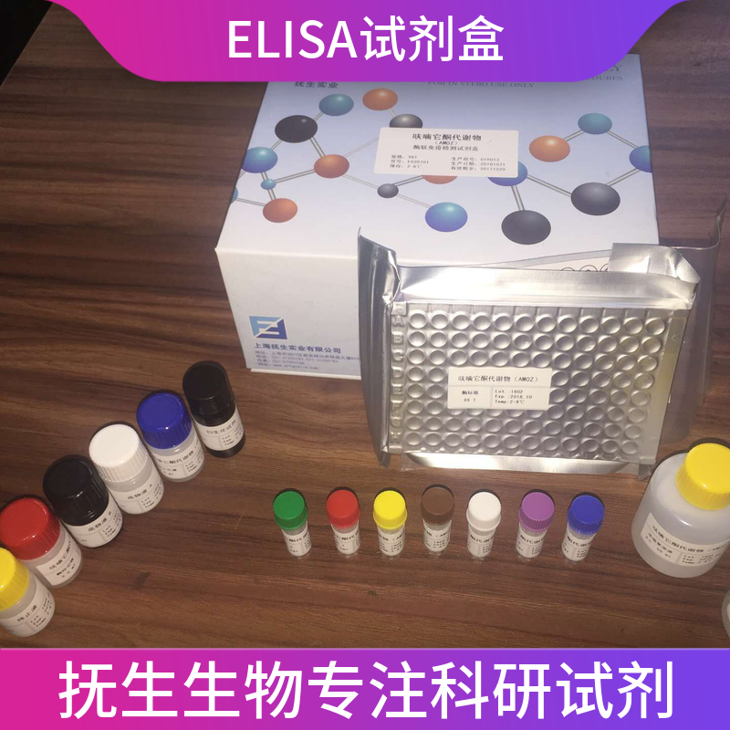 人骨成型蛋白受体2(BMPR2)ELISA试剂盒
