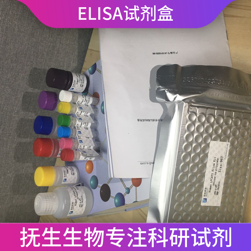 人肌肉肌酸激酶(CKM)ELISA试剂盒