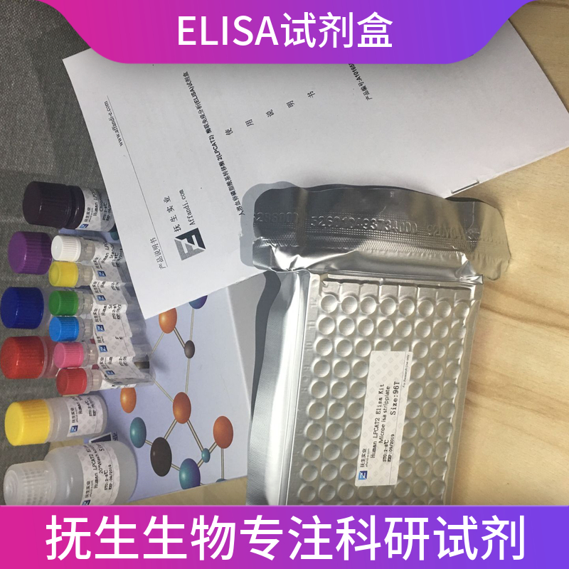 人基质金属蛋白酶13(MMP-13)ELISA试剂盒