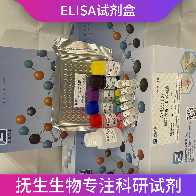 人泛素(Ub)ELISA试剂盒
