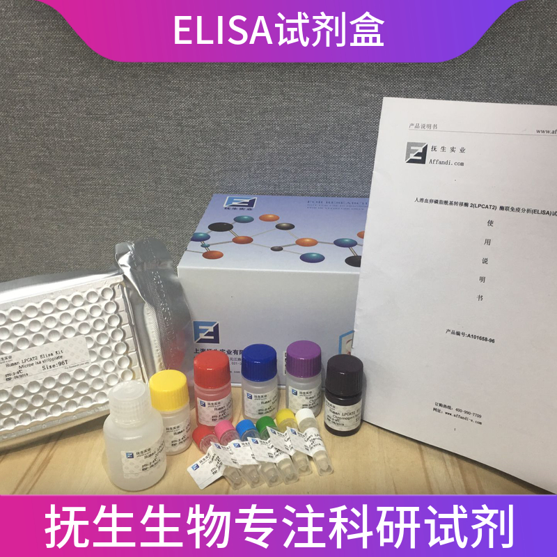 人肌酸激酶MB同工酶(CKMB)ELISA试剂盒