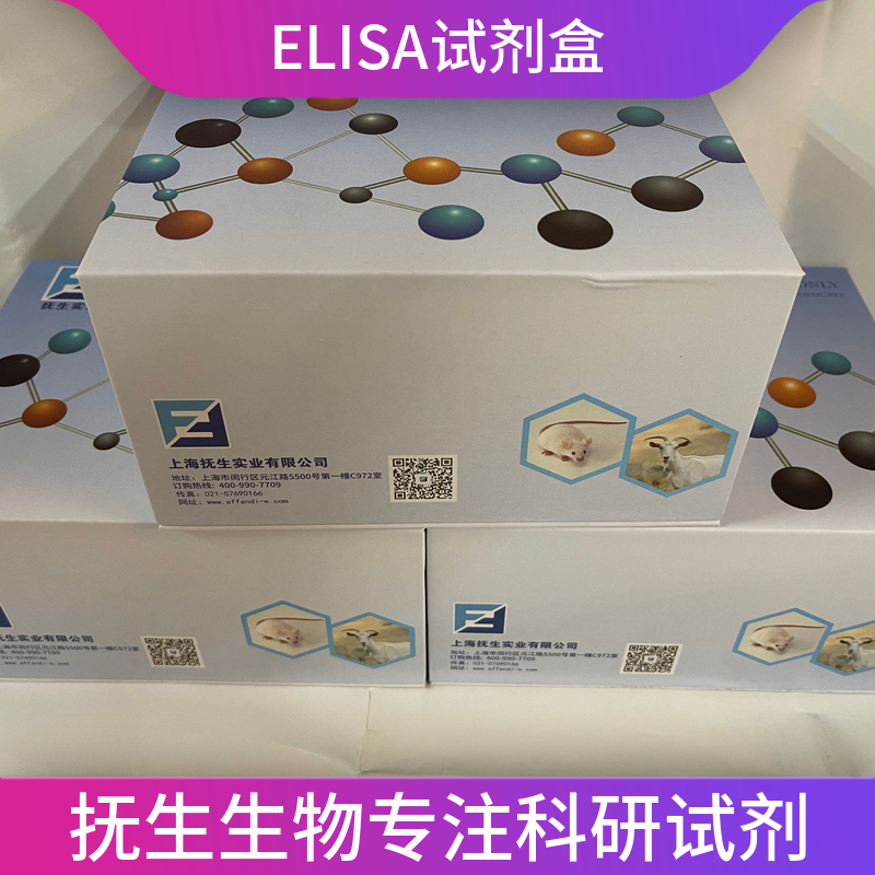 人基质蛋白-3(MATR3)ELISA试剂盒